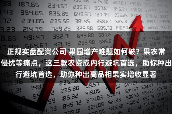正规实盘配资公司 果园增产难题如何破？果农常遇肥力不均、病虫害侵扰等痛点，这三款农资成内行避坑首选，助你种出高品相果实增收显著